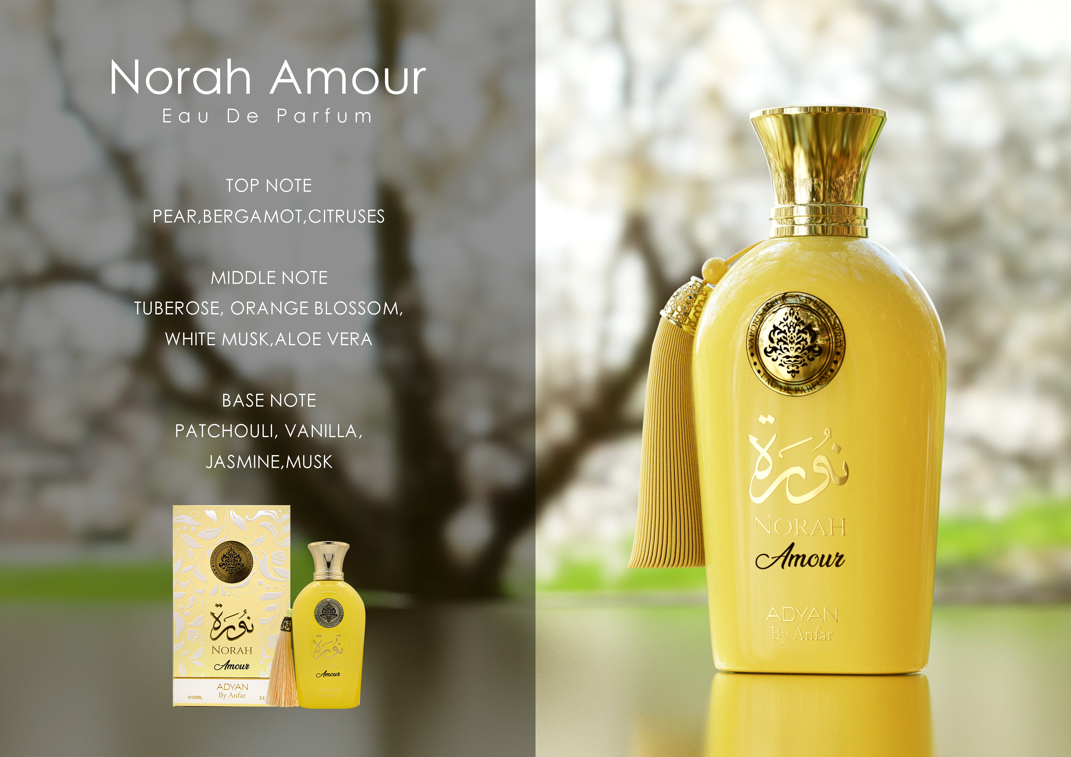 NORAH AMOUR BY ADYAN